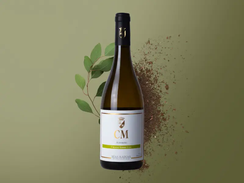 Tasting Familia Matarromera (2)