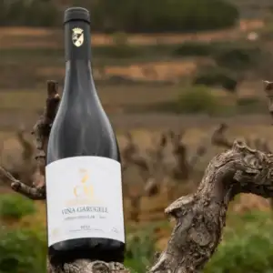 Tasting Familia Matarromera