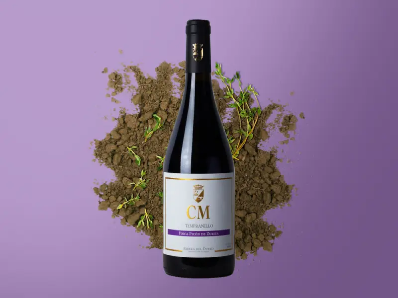 Tasting Familia Matarromera (4)