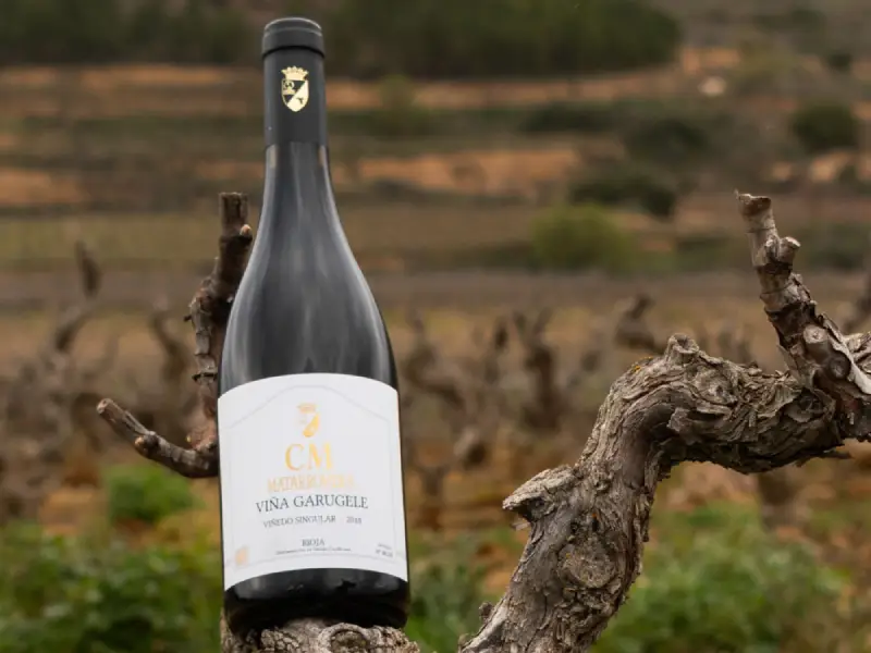 Tasting Familia Matarromera