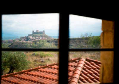 Premium passion for the wine tour