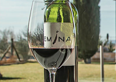 ¡Vive Emina!