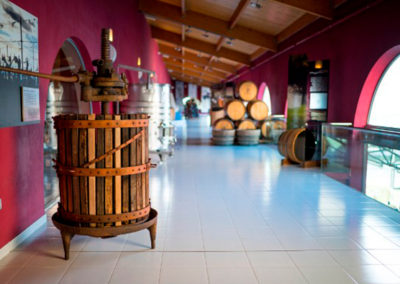 Degustando la Ribera del Duero