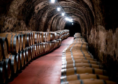 Essential tour Carlos Moro Rioja