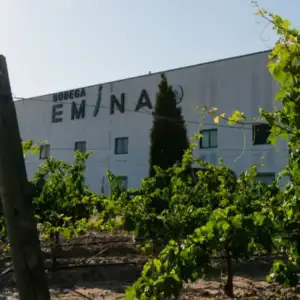 Tasting Emina Rueda