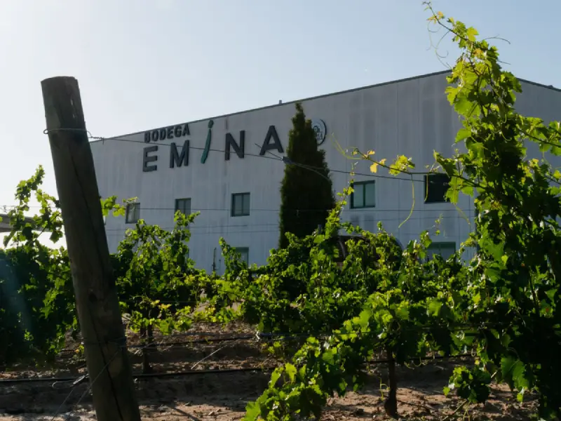 Tasting Emina Rueda