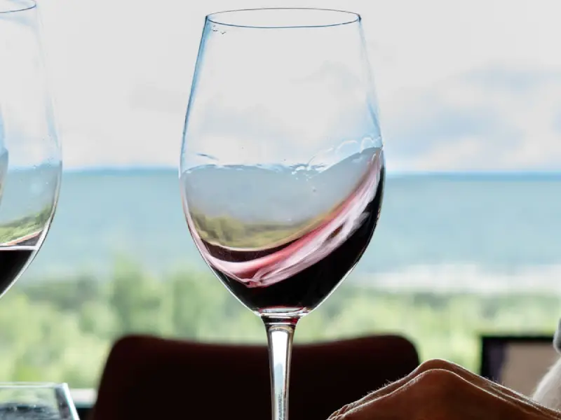 Tasting Matarromera (1)