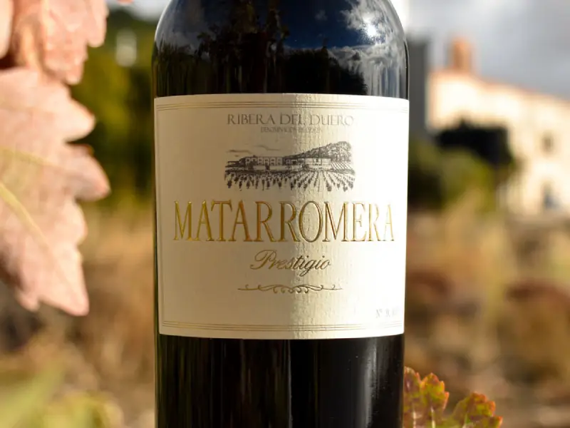 Tasting Matarromera (2)