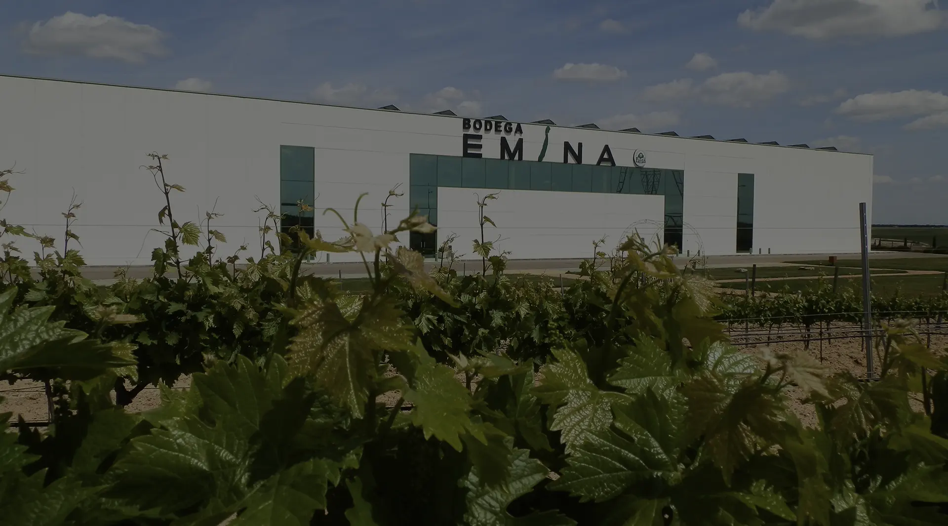 bodegas Mataromera Emina