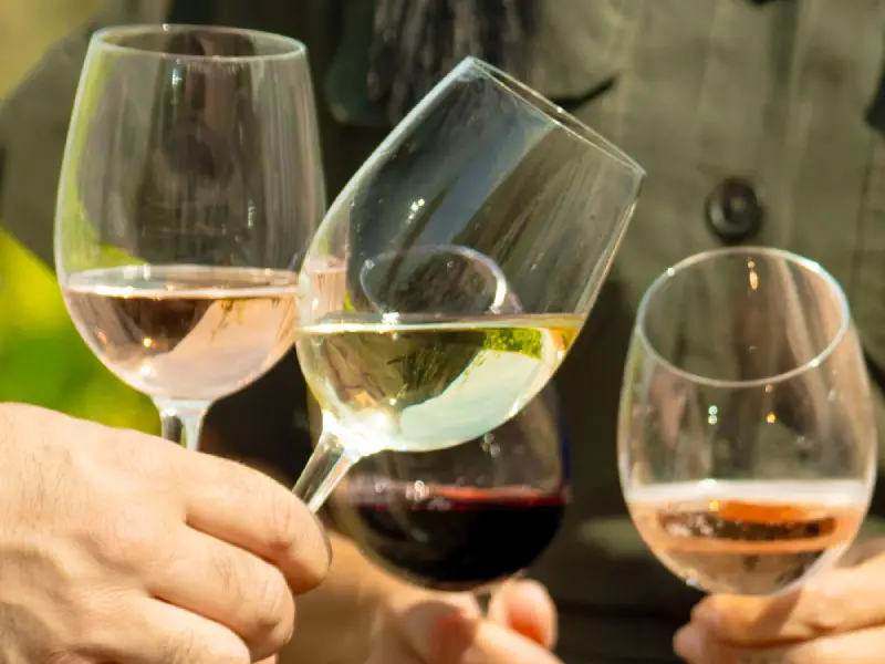 innovación sin alcohol 2