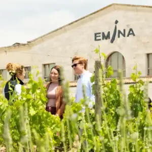 Win + Emina