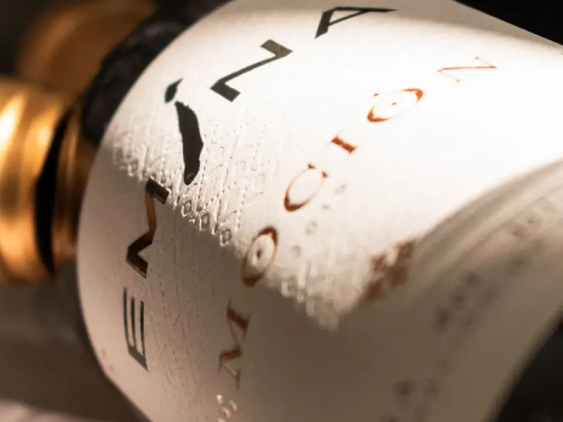 Cata de Uvas & Vinos (3)
