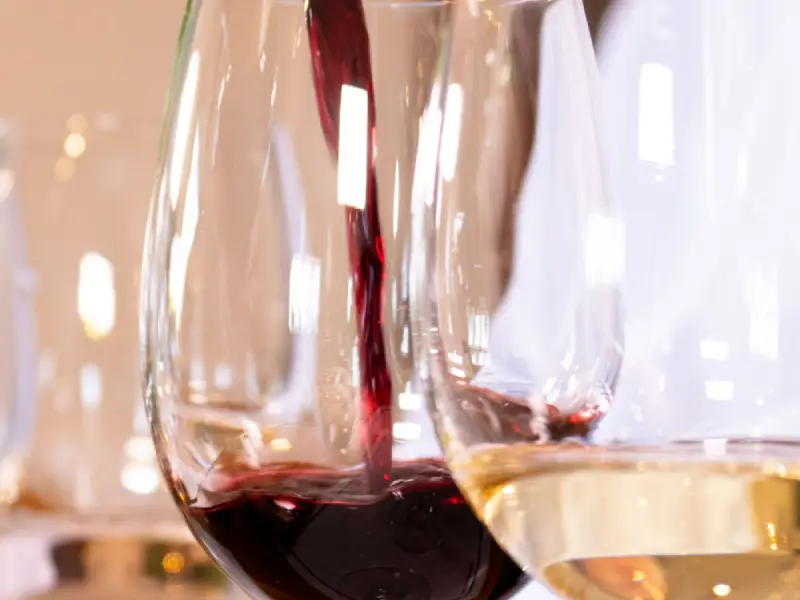 Cata de Uvas & Vinos (4)