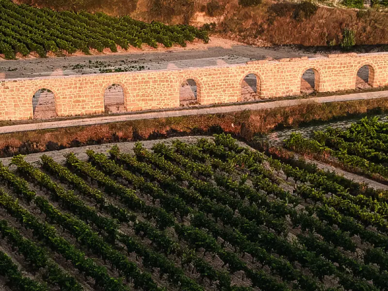 Visita CM Matarromera (3)