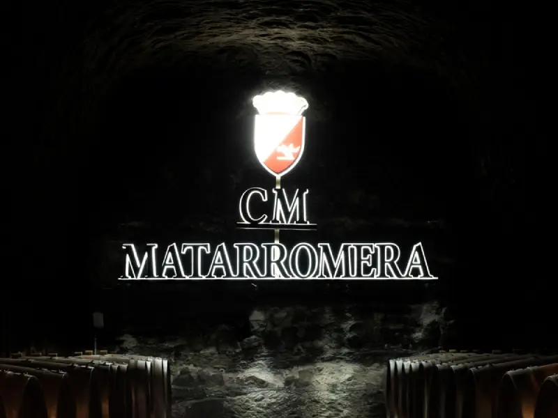 Visita privada «La Sierra» CM (3)