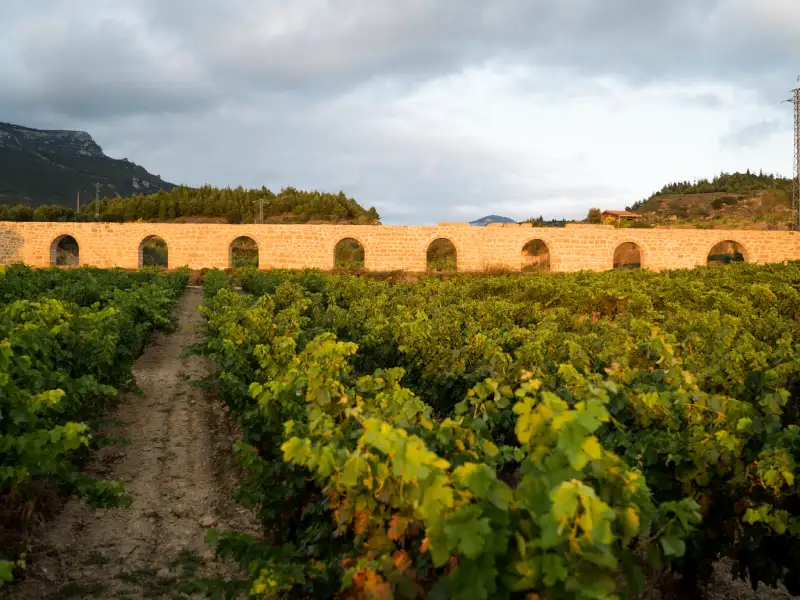 rioja-cm-matarromera-1