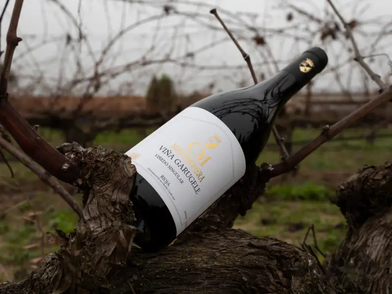 rioja-cm-matarromera-7