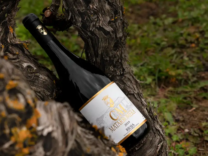 rioja-cm-matarromera-8