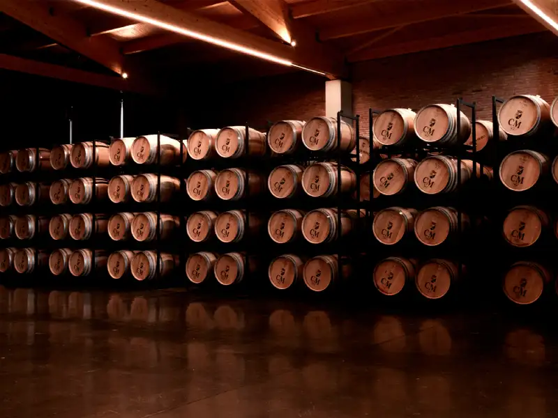 rioja-cm-matarromera-9