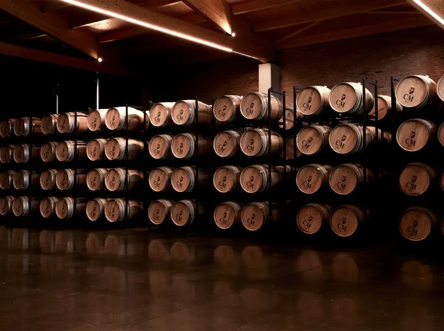 Fondo Bodega CM Matarromera