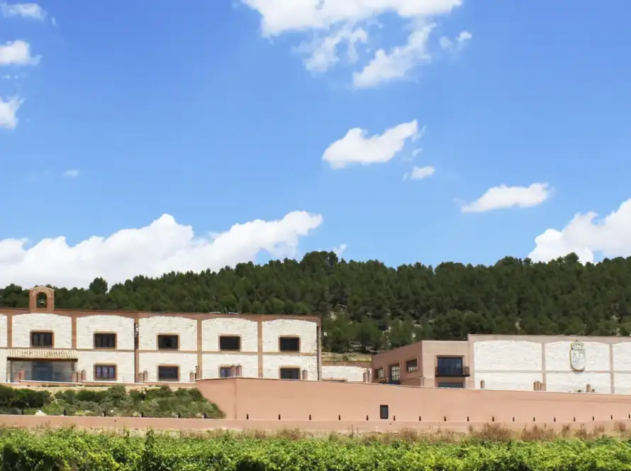 Fondo bodega Matarromera